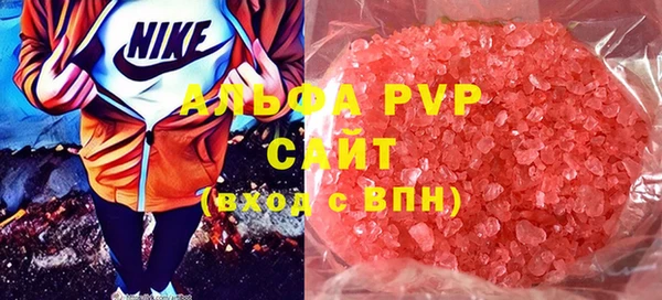 прущие грибы Армянск