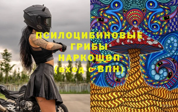 прущие грибы Армянск