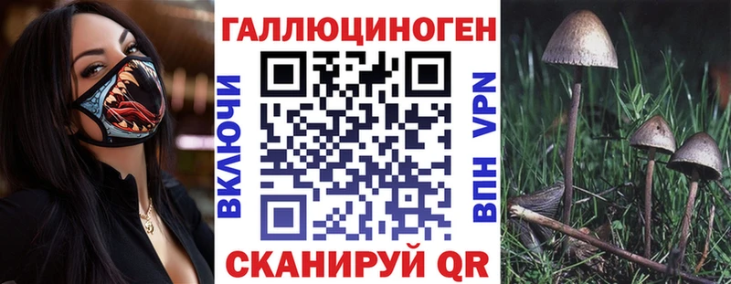 Купить где  Буинск  Галлюциногенные грибы Magic Shrooms 